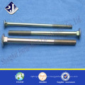 Zinc finished carriage bolt M10 carriage bolt carriage bolt din603